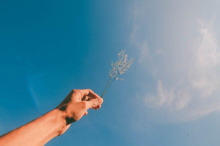 Blue sky