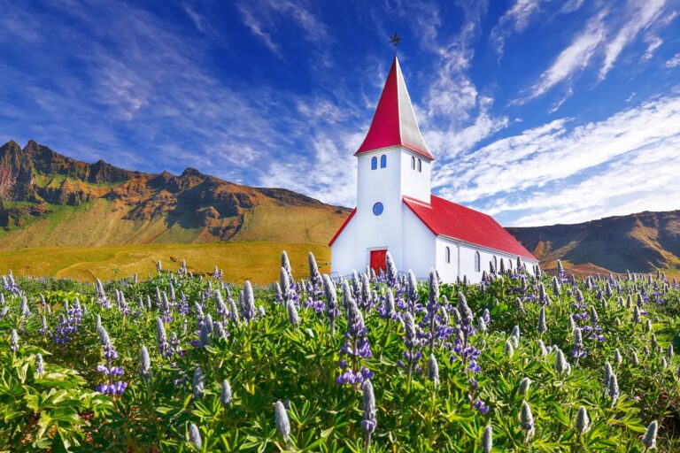 Splendid view of Vikurkirkja christian church in blooming lupine flowers